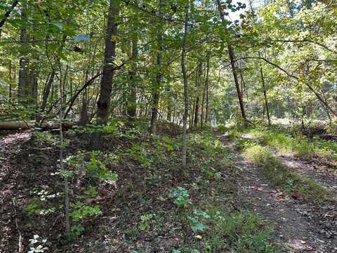 Lot 412 Smith Road, Spring City, TN 37381