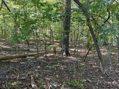 Lot411&412 Smith Road, Spring City, TN 37381