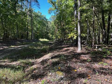 Lot 352 Diana Drive, Spring City, TN 37381