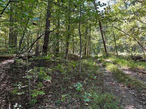 Lot 354 Diana Drive, Spring City, TN 37381