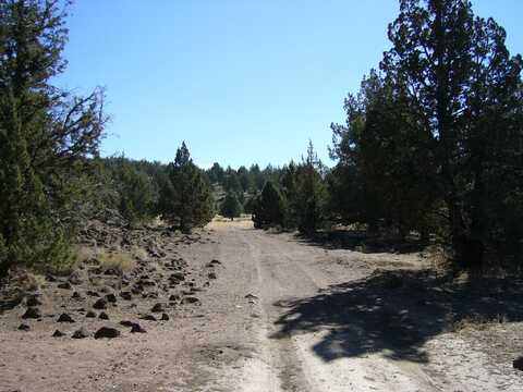 10 acres South Off Homeland Rd, MacDoel, CA 96058