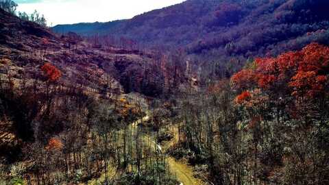 STANLEY LOT #15 STANLEY CREEK RD, Oneida, TN 37841