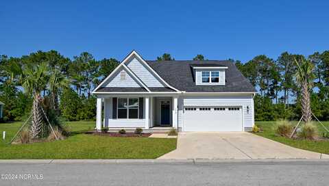 173 Twining Rose Lane, Holly Ridge, NC 28445