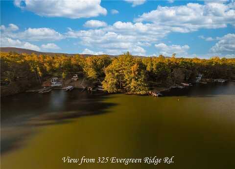 325 Evergreen Ridge Road, Tamassee, SC 29686