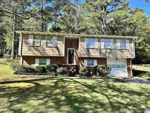 245 JUPITER DRIVE, BIRMINGHAM, AL 35215