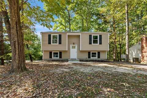 6558 N Stevens Hollow Drive, Chesterfield, VA 23832