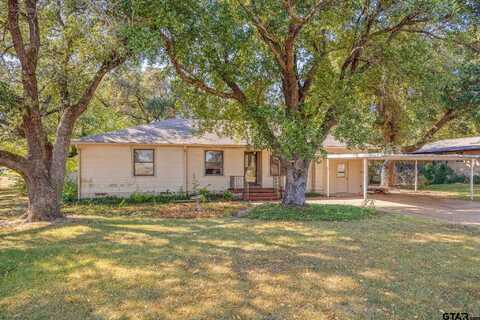 267 N Pecan St, Van, TX 75790