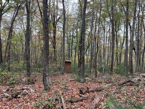 Lot 53 Bear Trak, Gap Mills, WV 24941