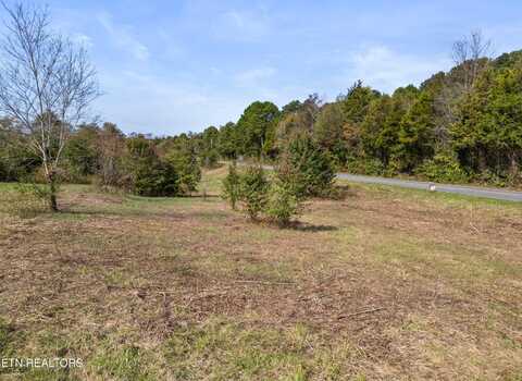 Lot 2 Green Hill Rd, Dandridge, TN 37725