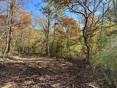 424-c West 577 Highway, Manchester, KY 40962