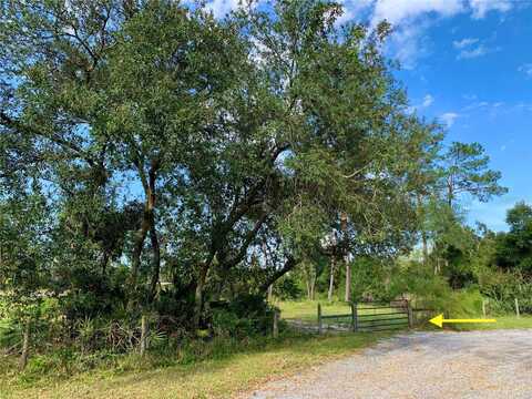 Lot 4 SAFFRON AVENUE, EUSTIS, FL 32736