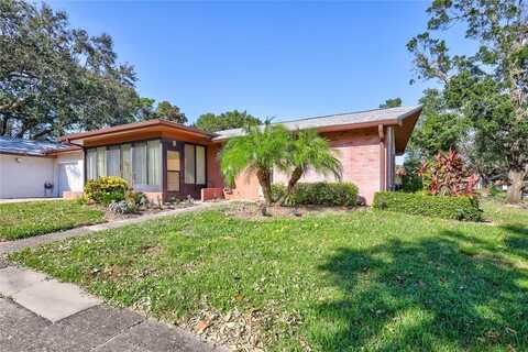 2320 SHELLY DRIVE, PALM HARBOR, FL 34684