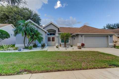 3005 SPRING OAK AVENUE, PALM HARBOR, FL 34684