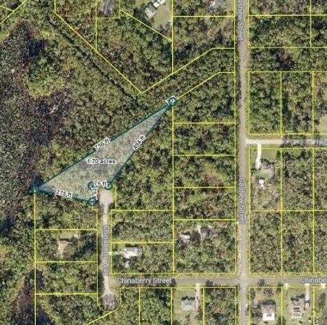 Tbd CHINABERRY WAY, EUSTIS, FL 32736