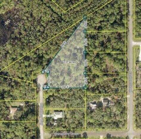 Tbd CHINABERRY WAY, EUSTIS, FL 32736