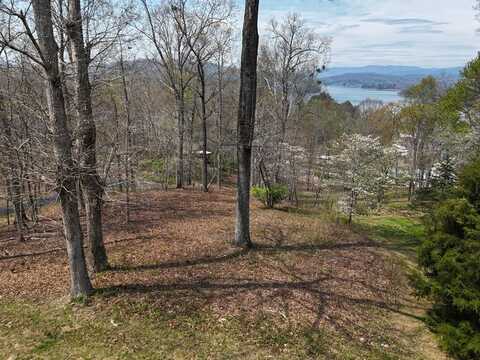 Lot 12 Chatuge Cove Drive, HAYESVILLE, NC 28904