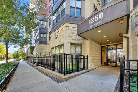 1250 S INDIANA Avenue, Chicago, IL 60605