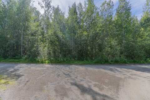 NHN Sirlin Dr, North Pole, AK 99705