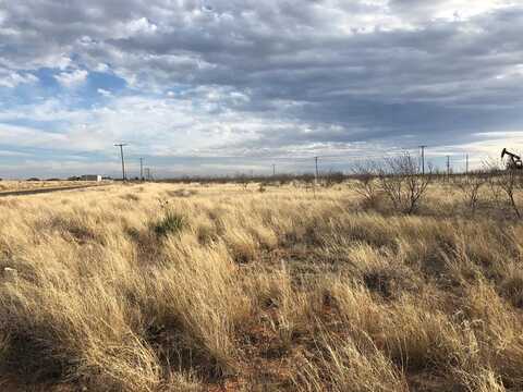 TBA SE 1000, Andrews, TX 79714