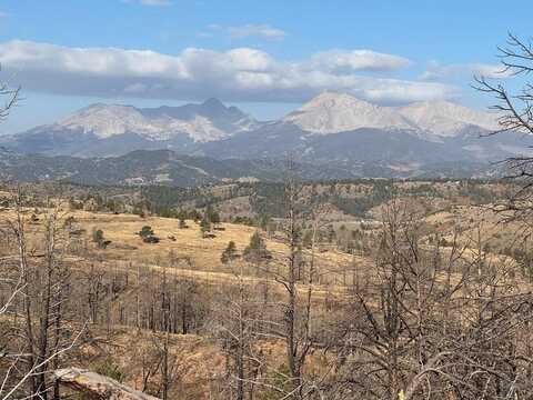 Forbes Park Rd. lot: 273, Fort Garland, CO 81133