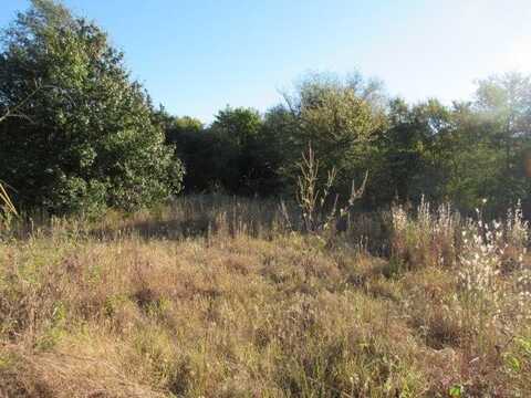 Lot 12 FM 645, TENNESSEE COLONY, TX 75861