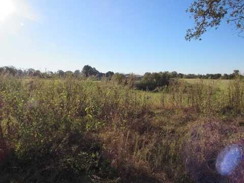 Lot 4 An County Road 2502, TENNESSEE COLONY, TX 75861