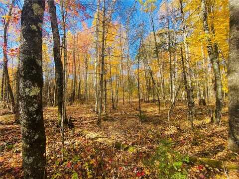 10 Acres Deer Lake Road, Exeland, WI 54835