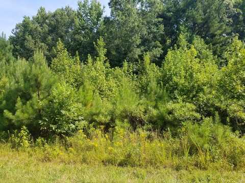 Lot # 12 Arbor Drive, Roanoke Rapids, NC 27870