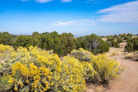 5 Campo del Viento, Santa Fe, NM 87506