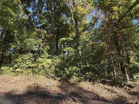 LOT 22 Brooks Dr, Sheffield, AL 35660