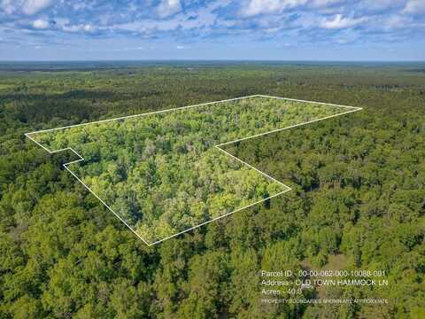 40 Ac 0 OLD TOWN HAMMOCK Lane, Crawfordville, FL 32327