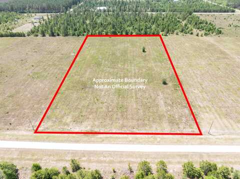 Vacant NE LobLolly Trail, LEE, FL 32059