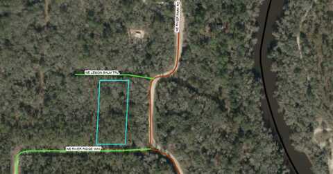 Vacant NE Lemon Balm Trail, LEE, FL 32059