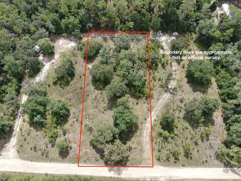 *lot 57* Vacant NE Blackjack Loop, LEE, FL 32059