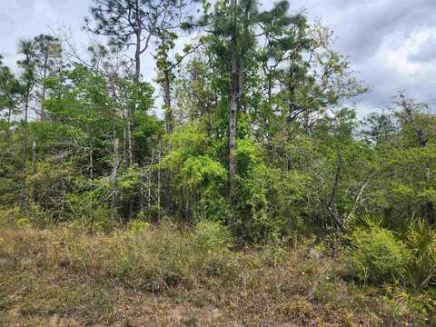 Center Lake Road, Altha, FL 32421