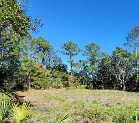 Lot 5 Blue Dolphin Drive, Crawfordville, FL 32327