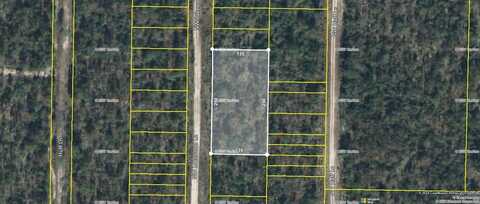 Tbd NW Center Lake Road, Altha, FL 32421