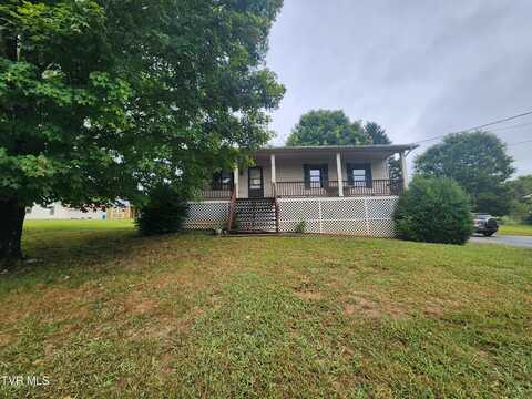 85 Blackberry Lane, Afton, TN 37616