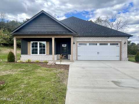 298 Dry Kiln Court, Gray, TN 37615