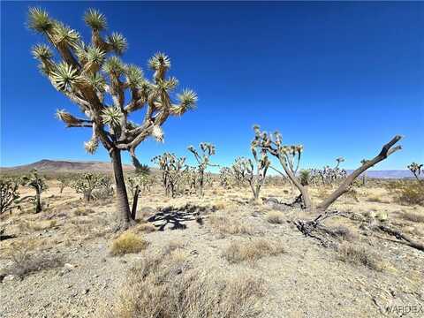 00 Merry Drive, Dolan Springs, AZ 86441