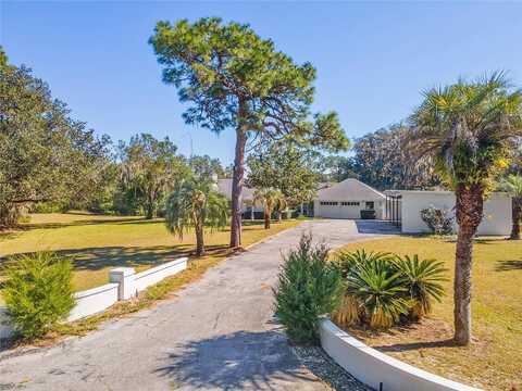 146Th Terrace, OCKLAWAHA, FL 32179