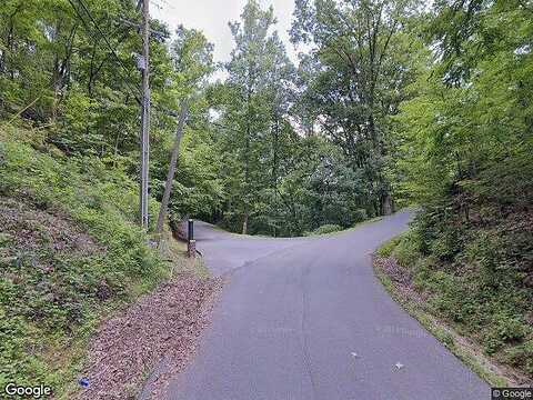Buena Vista, SEVIERVILLE, TN 37876