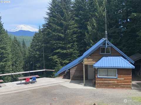 Mt. Hood Drive, Cougar, WA 98616