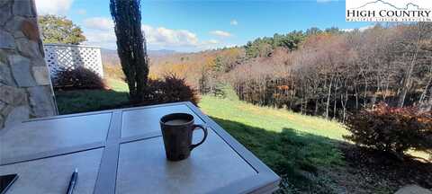 Club Villa Drive, Roaring Gap, NC 28627