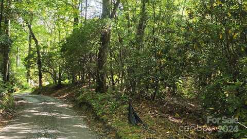 Wolf Knob, CULLOWHEE, NC 28723