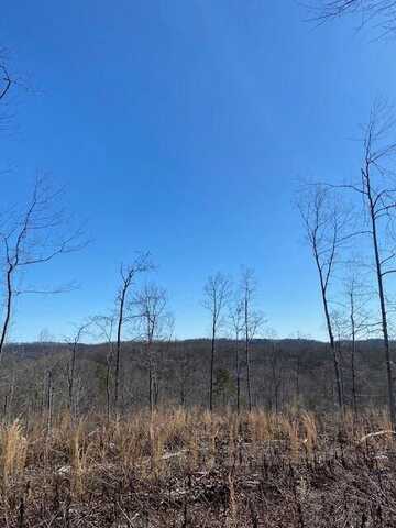 Tract 18 River Road, Decatur, TN 37322