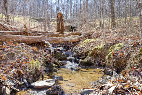 Lot 279 Roaring Creek Rd, Dunlap, TN 37327