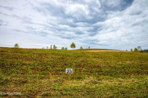 Lot 23 Old Mount Helen Rd, Allardt, TN 38504