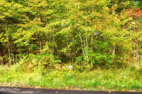 Lot 13 Old Mt Helen Rd, Allardt, TN 38504