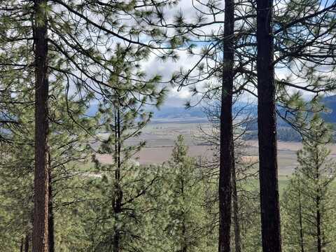 Snead, CHEWELAH, WA 99109